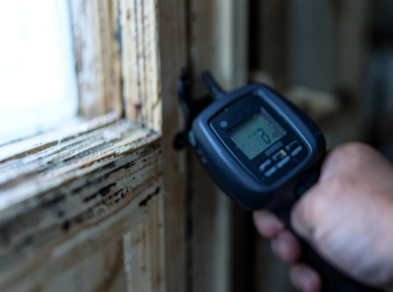 Ceiling Water Damage Repair in South Range, MI